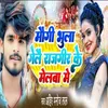 About Rajager Ke Mela Mein Song